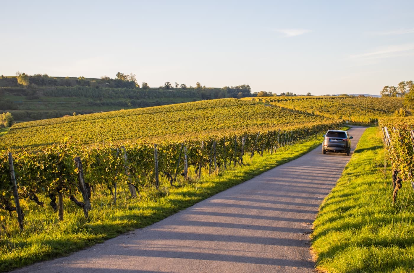 Berline sombre sur une route bordée de vignes en Gironde, lumière dorée de fin de journée.